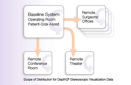 DepthQ® Mobile™ 3D Surgical Support distribution
